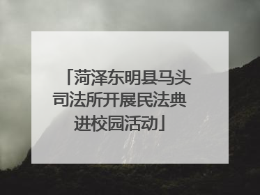菏泽东明县马头司法所开展民法典进校园活动