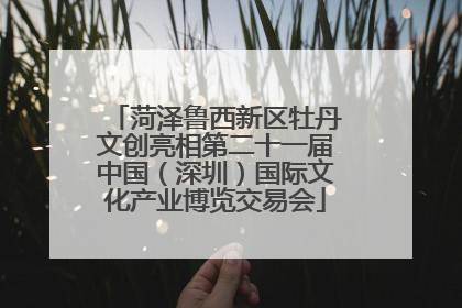 菏泽鲁西新区牡丹文创亮相第二十一届中国（深圳）国际文化产业博览交易会