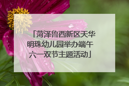 菏泽鲁西新区天华明珠幼儿园举办端午六一双节主题活动