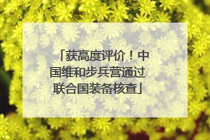 获高度评价！中国维和步兵营通过联合国装备核查