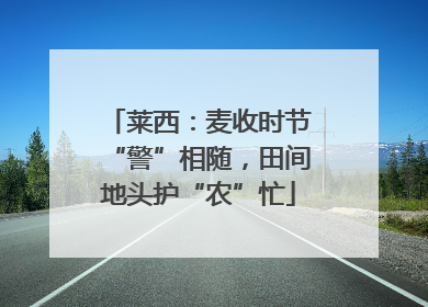 莱西：麦收时节“警”相随，田间地头护“农”忙