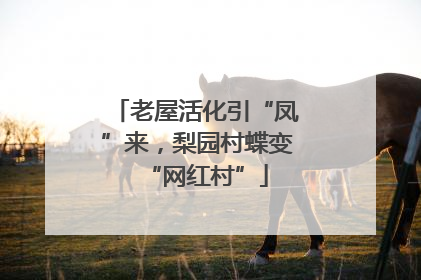 老屋活化引“凤”来，梨园村蝶变“网红村”