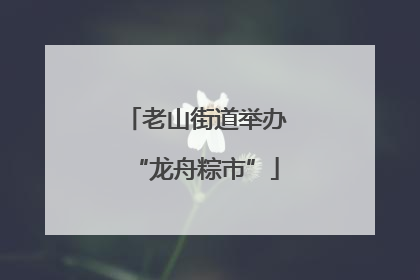老山街道举办“龙舟粽市”