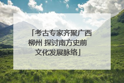 考古专家齐聚广西柳州 探讨南方史前文化发展脉络