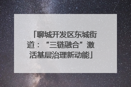 聊城开发区东城街道：“三链融合”激活基层治理新动能