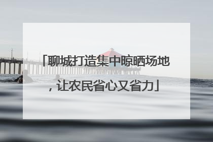 聊城打造集中晾晒场地，让农民省心又省力