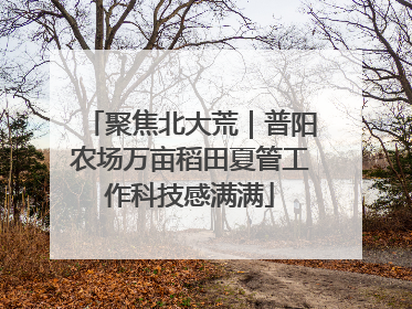 聚焦北大荒｜普阳农场万亩稻田夏管工作科技感满满