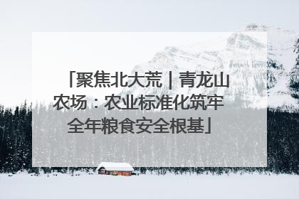 聚焦北大荒｜青龙山农场：农业标准化筑牢全年粮食安全根基