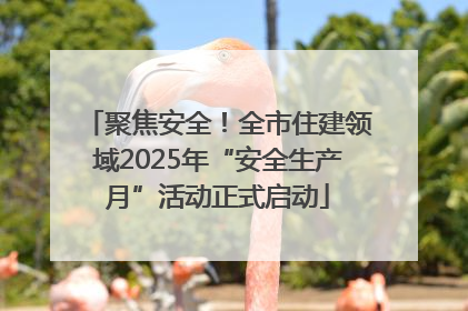 聚焦安全！全市住建领域2025年“安全生产月”活动正式启动