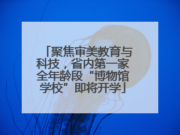 聚焦审美教育与科技，省内第一家全年龄段“博物馆学校”即将开学