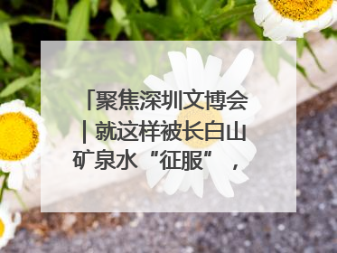 聚焦深圳文博会｜就这样被长白山矿泉水“征服”，订单纷至沓来