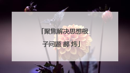 聚焦解决思想根子问题 郝 炜