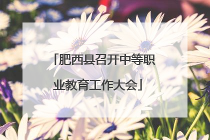 肥西县召开中等职业教育工作大会