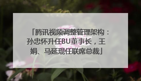 腾讯视频调整管理架构：孙忠怀升任BU董事长，王娟、马延琨任联席总裁