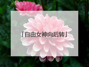 自由女神向后转