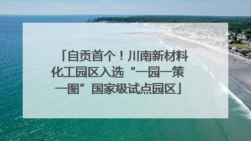 自贡首个！川南新材料化工园区入选“一园一策一图”国家级试点园区