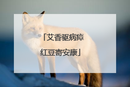 艾香驱病瘴 红豆寄安康