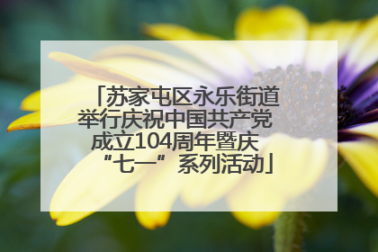 苏家屯区永乐街道举行庆祝中国共产党成立104周年暨庆“七一”系列活动