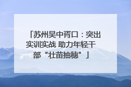 苏州吴中胥口：突出实训实战 助力年轻干部“壮苗抽穗”