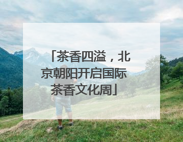 茶香四溢，北京朝阳开启国际茶香文化周