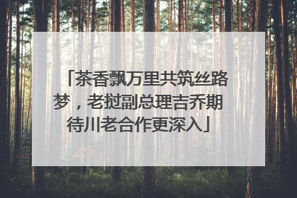 茶香飘万里共筑丝路梦，老挝副总理吉乔期待川老合作更深入