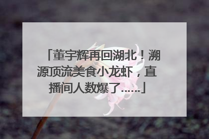 董宇辉再回湖北！溯源顶流美食小龙虾，直播间人数爆了……
