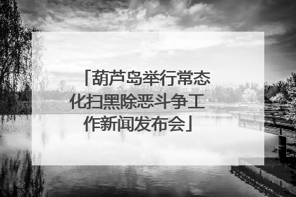 葫芦岛举行常态化扫黑除恶斗争工作新闻发布会