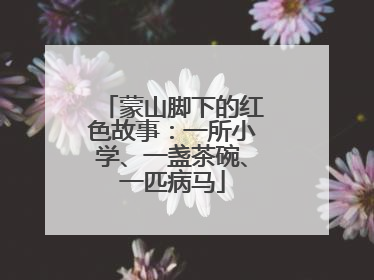 蒙山脚下的红色故事：一所小学、一盏茶碗、一匹病马