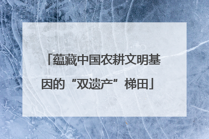 蕴藏中国农耕文明基因的“双遗产”梯田