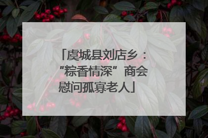 虞城县刘店乡：“粽香情深”商会慰问孤寡老人