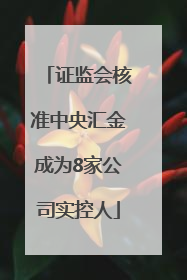 证监会核准中央汇金成为8家公司实控人