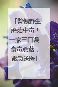 警惕野生蘑菇中毒！一家三口误食毒蘑菇，紧急送医