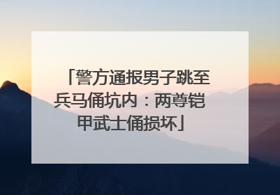 警方通报男子跳至兵马俑坑内：两尊铠甲武士俑损坏