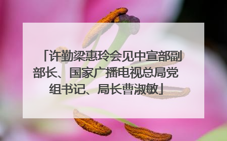 许勤梁惠玲会见中宣部副部长、国家广播电视总局党组书记、局长曹淑敏