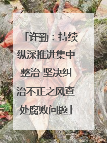 许勤：持续纵深推进集中整治 坚决纠治不正之风查处腐败问题