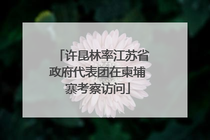 许昆林率江苏省政府代表团在柬埔寨考察访问