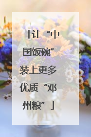 让“中国饭碗”装上更多优质“邓州粮”