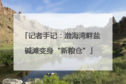 记者手记：渤海湾畔盐碱滩变身“新粮仓”