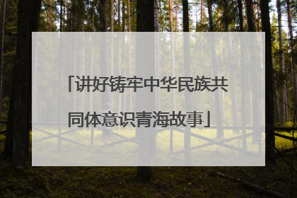 讲好铸牢中华民族共同体意识青海故事