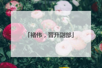 褚伟，晋升副部