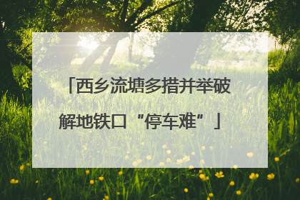 西乡流塘多措并举破解地铁口“停车难”