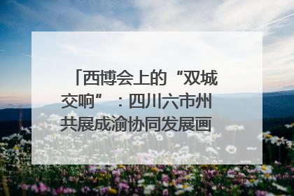 西博会上的“双城交响”：四川六市州共展成渝协同发展画卷｜西博视界