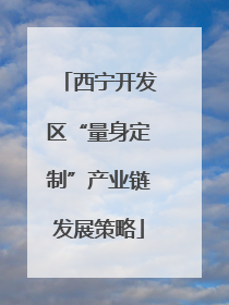 西宁开发区“量身定制”产业链发展策略