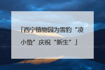 西宁植物园为雪豹“凌小蛰”庆祝“新生”