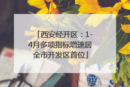 西安经开区：1-4月多项指标增速居全市开发区首位