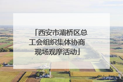西安市灞桥区总工会组织集体协商现场观摩活动