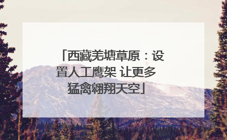 西藏羌塘草原：设置人工鹰架 让更多猛禽翱翔天空