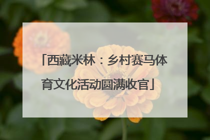西藏米林：乡村赛马体育文化活动圆满收官