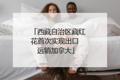 西藏自治区藏红花首次实现出口 远销加拿大