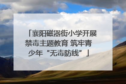 襄阳磁器街小学开展禁毒主题教育 筑牢青少年“无毒防线”